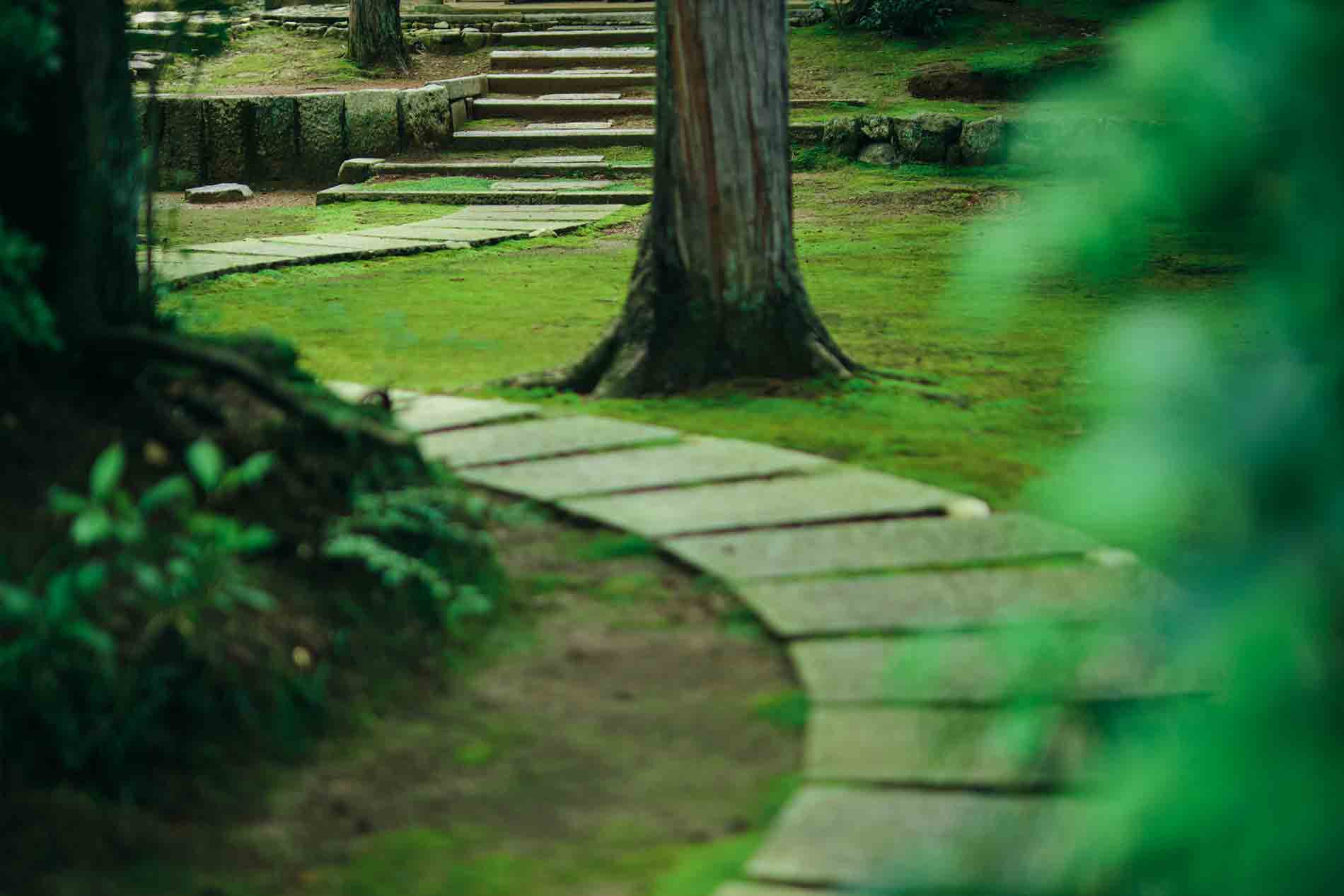 東福寺正覚庵の茶室へ続く庭
